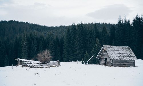 Winter is Coming